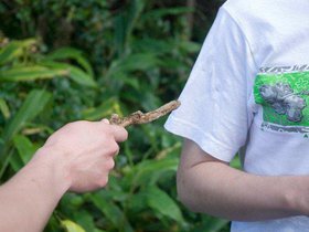 Andy poking Gabe with a stick.jpg